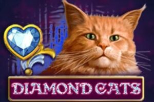 Diamond Cats Diamond Cats