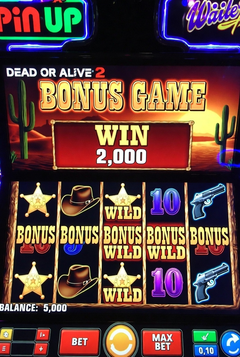 Пример крупного выигрыша в бонусной игре Dead or Alive 2 на платформе Pin-Up